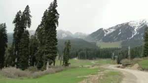 Doodhpathri, Tourist Places in Kashmir