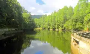 Bhalu Dam, tourist places in ranikhet