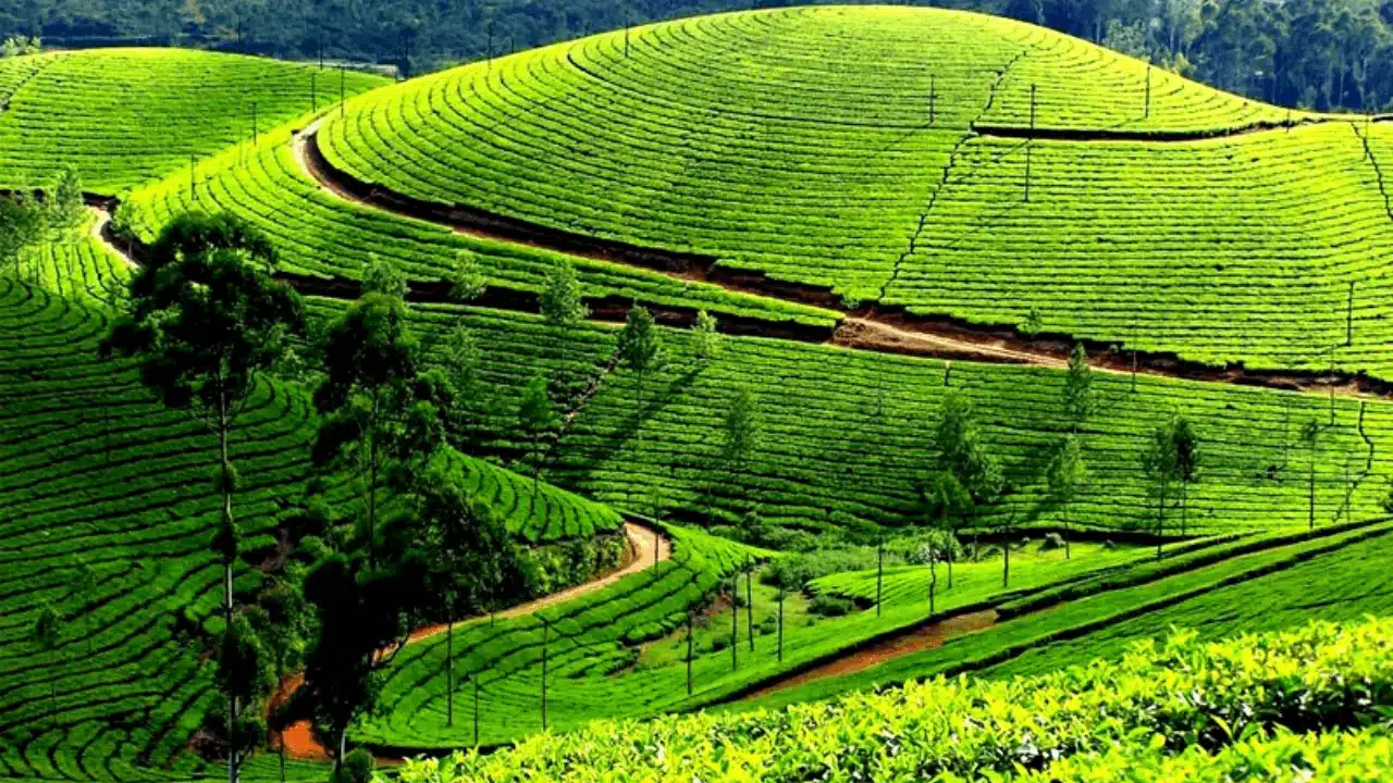 Chaubatiya Garden, tourist places in ranikhet