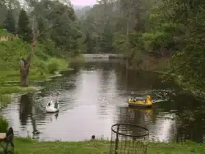 Rani Lake, tourist places in ranikhet