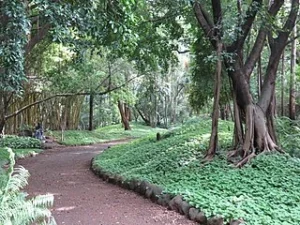 Osho Garden, Punetourist places in pune
