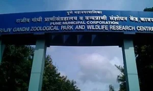 Rajiv Gandhi Zoological Park, tourist places in pune