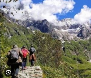 The valley of flowers, Uttrakhand (फूलों की घाटी, उत्तराखंड)