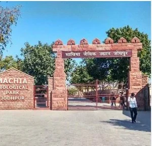 जोधपुर में घुमने कि जगह पर्यटन स्थल (Jodhpur me ghumne ki jagah)