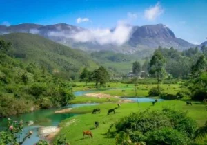 मुन्नार में घुमने की जगह (munnar me ghumne ki jagah)