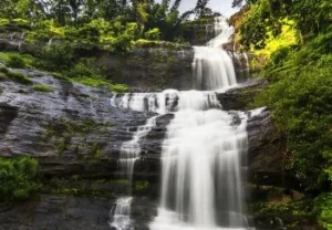 मुन्नार में घुमने की जगह (munnar me ghumne ki jagah)