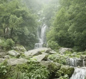 डलहौजी में घुमने की जगह (dalhousie me ghumne ki jagah)