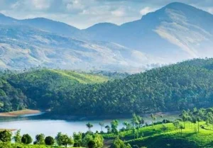 मुन्नार में घुमने की जगह (munnar me ghumne ki jagah)