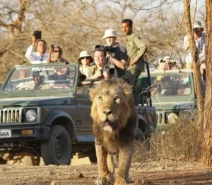 गुजरात में घूमने की जगह (Gujarat Tourist Places)