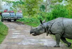 गुवाहाटी में घूमने की जगह (Guwahati Tourist Places)