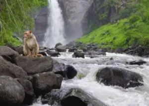 चित्रकूट में घूमने की जगह (Chitrakoot Tourist Places)