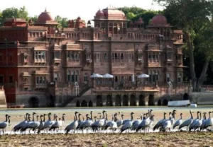 बीकानेर में घूमने की जगह (Bikaner Tourist Places)