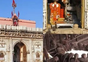 बीकानेर में घूमने की जगह (Bikaner Tourist Places)