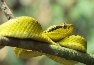 कोरबा में घूमने की जगह (Korba Tourist Places)