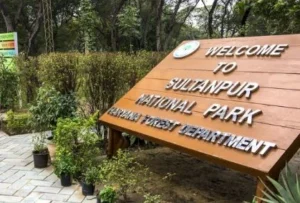 हरियाणा में घूमने की जगह (Haryana Tourist Places Hindi)