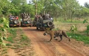 छिंदवाड़ा में घूमने की जगह (Chhindwara Tourist Places)