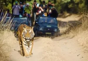 ओरछा में घूमने की जगह (Orchha Tourist Places)